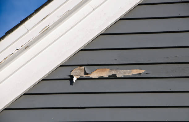 Best Custom Trim and Detailing for Siding  in Kentfield, CA